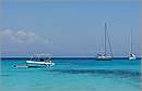 antipaxos_11X_1270mini.jpg