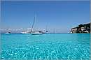 antipaxos_11X_1284mini.jpg