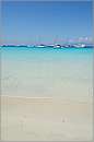antipaxos_11X_1290mini.jpg