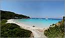 antipaxos_11X_1300_02mini.jpg