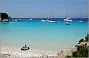 antipaxos_11X_1303mini.jpg