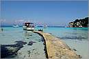 antipaxos_11X_1313mini.jpg