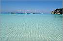 antipaxos_11X_1315mini.jpg