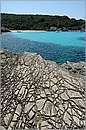antipaxos_11X_1337mini.jpg