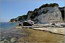 antipaxos_11X_1340mini.jpg