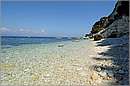 antipaxos_11X_1349mini.jpg