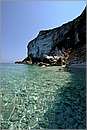 antipaxos_11X_1532mini.jpg