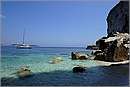 antipaxos_11X_1542mini.jpg