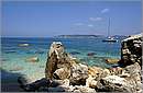 antipaxos_11X_1553mini.jpg