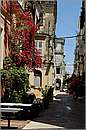 corfu_11X_0951mini.jpg
