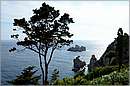 corfu_11X_0977mini.jpg