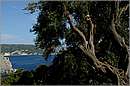 corfu_11X_0984mini.jpg