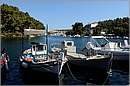 paxos_11X_1351mini.jpg
