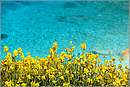 paxos_11X_1462mini.jpg