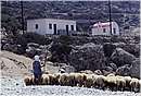 grecia_karpathos_0024.jpg