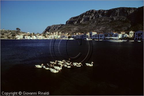 GREECE - (Dodecanese Island) - GRECIA (Dodecanneso) - ISOLA DI KASTELLORIZO (Megisti) - veduta del porto