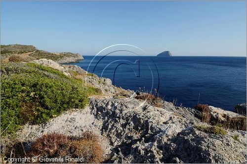 GRECIA - GREECE - Ionio Meridionale - Isola di Kithera (Kithira Citera) - costa sud - isolotto Avgo
