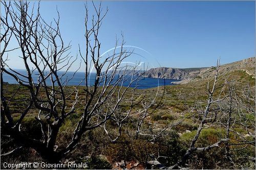 GRECIA - GREECE - Ionio Meridionale - Isola di Kithera (Kithira Citera) - costa ovest - Fanokopio Bay presso Mylopotamos