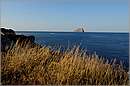 kithira_11X_3471mini.jpg