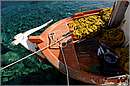 kithira_11X_3499mini.jpg