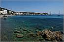 kithira_11X_3537mini.jpg