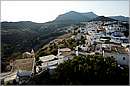 kithira_11X_3616mini.jpg