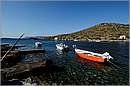 kithira_11X_3793mini.jpg