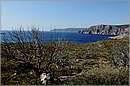 kithira_11X_3798mini.jpg