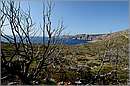 kithira_11X_3801mini.jpg