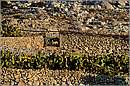 levitha_11Y_0535mini.jpg