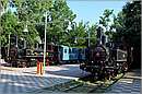 kalamata_11X_2905mini.jpg