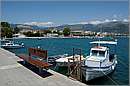 kalamata_11X_2943mini.jpg