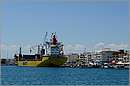 kalamata_11X_2951mini.jpg
