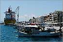 kalamata_11X_2953mini.jpg