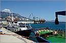 kalamata_11X_2955mini.jpg