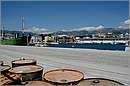 kalamata_11X_2962mini.jpg