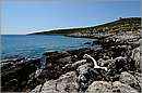 methoni_11X_2822mini.jpg