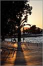 pylos_11X_2608mini.jpg