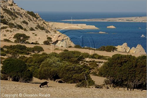 GRECIA - GREECE - Piccole Cicladi  - Minor Cyclades - Koufonisia - Kato Koufonisia (Koufonisi) - Costa est  - Nero Bay e Dhetis Bay