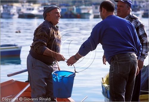 MALTA - MALTA ISLAND - Marsaxlokk - il mercato alimentare