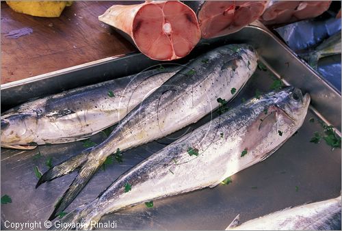 MALTA - MALTA ISLAND - Marsaxlokk - il mercato alimentare