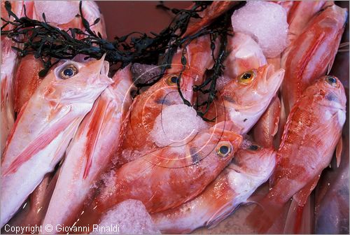 MALTA - MALTA ISLAND - Marsaxlokk - il mercato alimentare