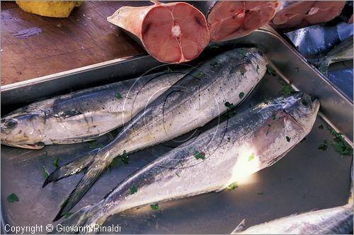 MALTA - MALTA ISLAND - Marsaxlokk - il mercato alimentare