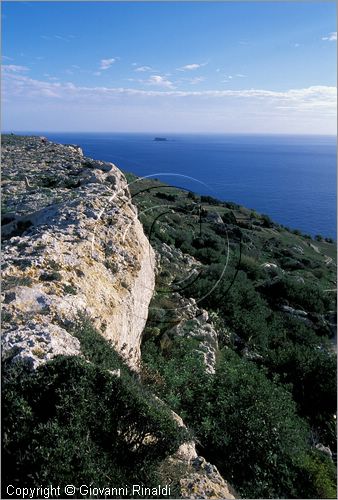 MALTA - MALTA ISLAND - Dingli Cliff, la costa sud occidentale e l'isoletta di Filfla