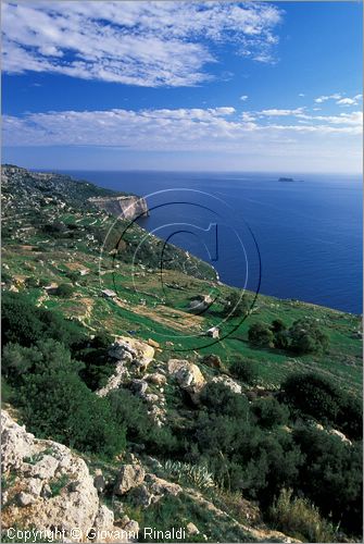 MALTA - MALTA ISLAND - Dingli Cliff, la costa sud occidentale e l'isoletta di Filfla