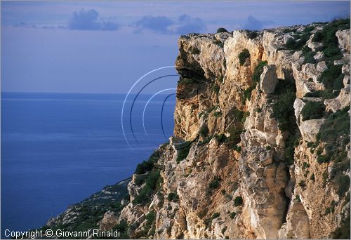 MALTA - MALTA ISLAND - Dingli Cliff sulla la costa sud occidentale