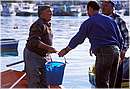 malta_0041.jpg