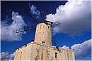 malta_0065.jpg