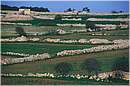 malta_0101.jpg