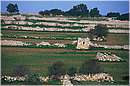 malta_0102.jpg